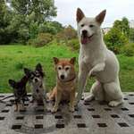 Ersteller:in Angelina Profilbild