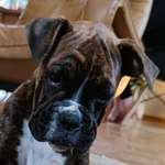 Ersteller:in Jan Hendrik Profilbild