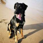 Ersteller:in Eileen Profilbild