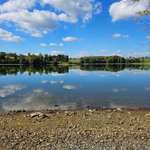 Hundeauslaufgebiet-Hundestrand am Untreusee-Bild