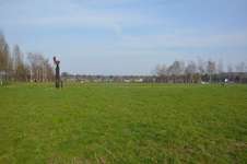 Hundeauslaufgebiet-Prosper Park-Bild