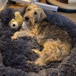 Ersteller:in Anika Profilbild