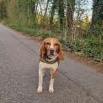 Ersteller:in Markus Profilbild