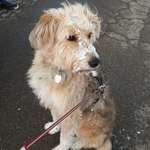 Ersteller:in Jennifer Profilbild