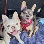 Ersteller:in Angela Profilbild