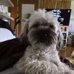 Ersteller:in Michael Profilbild