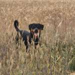 Ersteller:in Shorty Profilbild