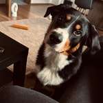 Ersteller:in Alessia Profilbild