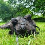 Ersteller:in Linn Profilbild