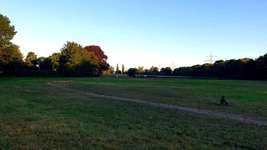 Hundeauslaufgebiet-Hundewiese Sankt Augustin Niederpleis-Bild