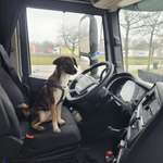 Ersteller:in Nina Profilbild