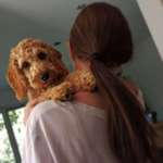 Ersteller:in Maddy Profilbild