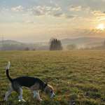 Ersteller:in Luisa Profilbild