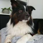 Ersteller:in Dana Profilbild