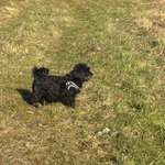 Ersteller:in Anne Profilbild