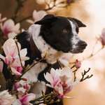 Ersteller:in Denise Profilbild