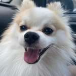 Ersteller:in Leonie Profilbild