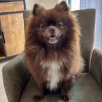 Ersteller:in Mary Profilbild