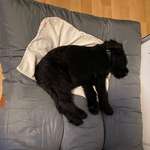 Ersteller:in Nicole Profilbild