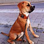 Ersteller:in Kevin Profilbild