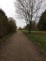 Hundeauslaufgebiet-Fritz-Schumacher-Allee/Weg Nr. 651-Bild