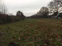 Hundeauslaufgebiet-Fritz-Schumacher-Allee/Weg Nr. 651-Bild