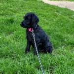 Ersteller:in Madina Profilbild