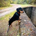 Ersteller:in Dominik Profilbild