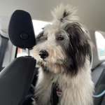 Ersteller:in antonia Profilbild