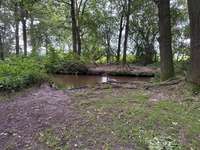 Hundeauslaufgebiet-Am Furlbach-Bild