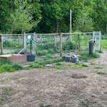 Hundeauslaufgebiet-Städtische Hundewiese Rietberg-Bild