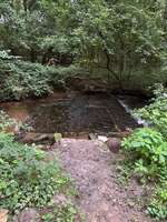 Hundeauslaufgebiet-Am Furlbach-Bild