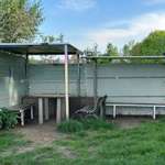 Hundeauslaufgebiet-Städtische Hundewiese Rietberg-Bild