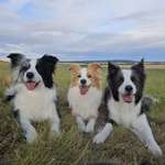 Ersteller:in Mel Profilbild