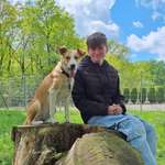 Ersteller:in Shorty Profilbild