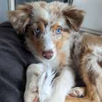 Ersteller:in Kristina Profilbild