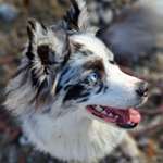 Ersteller:in Yvonne Profilbild