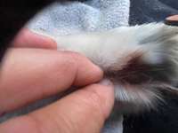 Was könnte das sein?-Beitrag-Bild