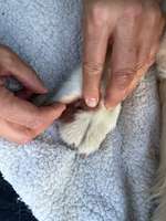 Was könnte das sein?-Beitrag-Bild