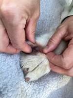 Was könnte das sein?-Beitrag-Bild