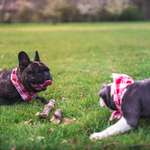 Ersteller:in Malte Profilbild