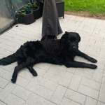 Ersteller:in Carina Profilbild