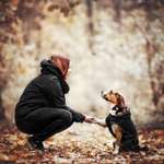 Ersteller:in Marie Profilbild