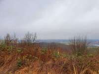 Hundeauslaufgebiet-Halde Lanstop-Bild