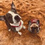 Ersteller:in Sarah Profilbild