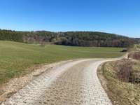 Hundeauslaufgebiet-Klingenweiher-Bild