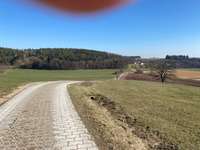 Hundeauslaufgebiet-Klingenweiher-Bild