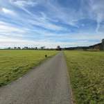 Hundeauslaufgebiet-Empfingen - Dettensee-Bild