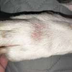 Hautproblem-Beitrag-Bild