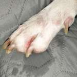 Hautproblem-Beitrag-Bild